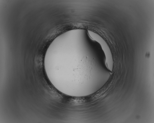 X0000096990466200803071057