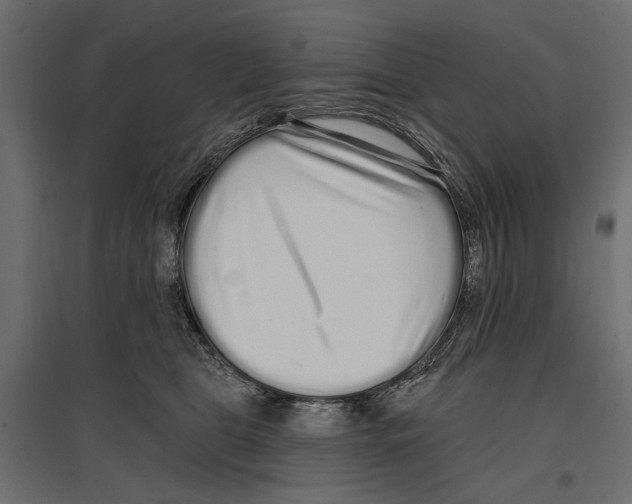 X0000096990469200803071057