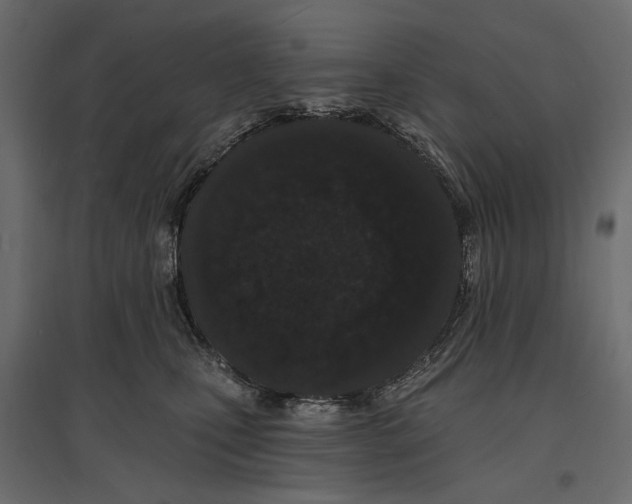 X0000096990471200803071057