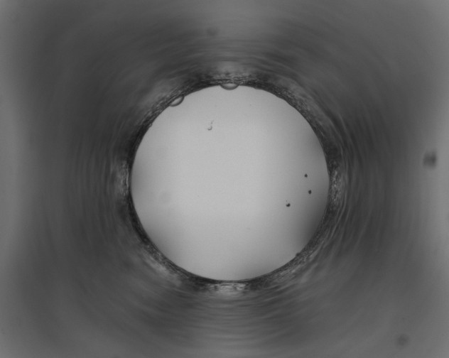 X0000096990474200803071057