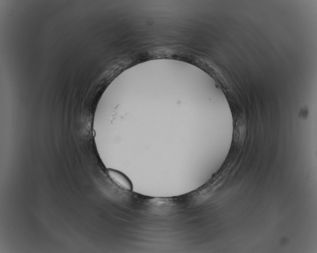 X0000096990477200803071057