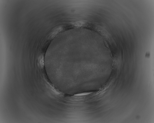 X0000096990479200803071057