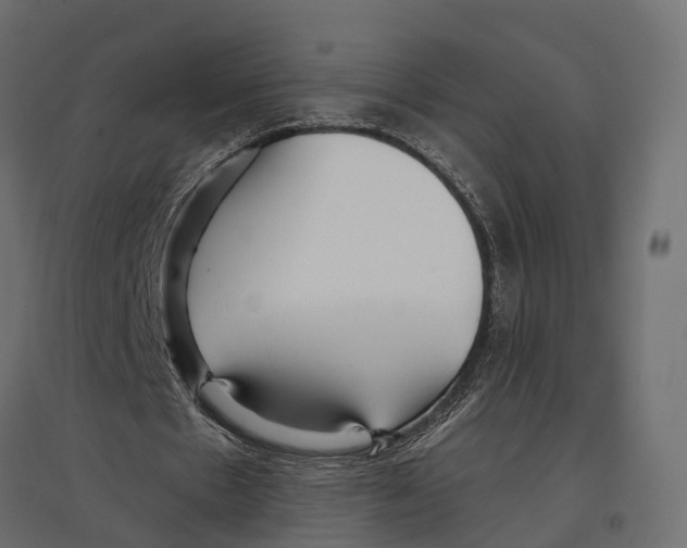 X0000096990481200803071057