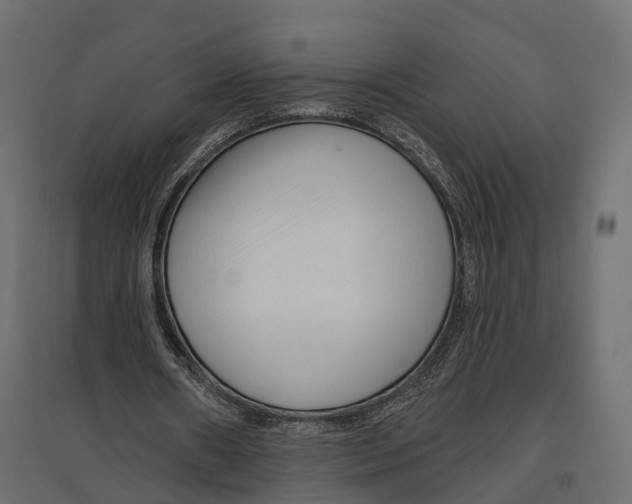 X0000096990482200803071057