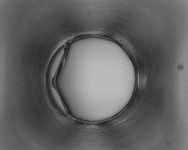 X0000096990483200803071057