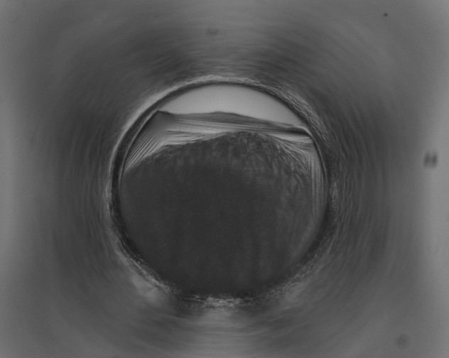 X0000096990484200803071057