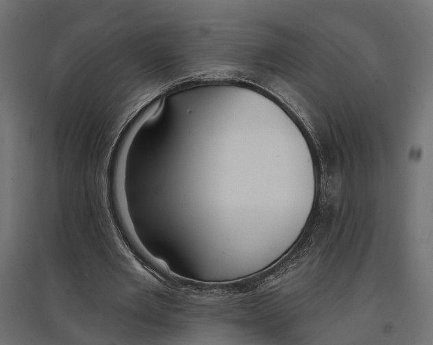 X0000096990485200803071057