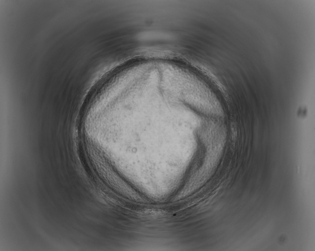 X0000096990487200803071057