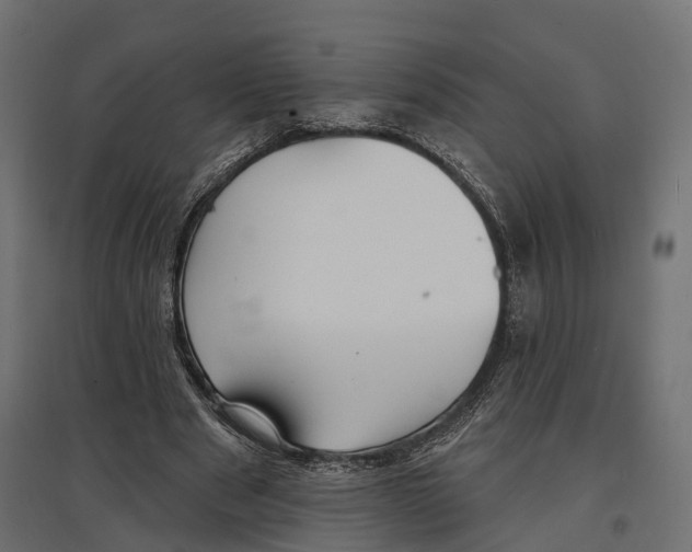 X0000096990489200803071056