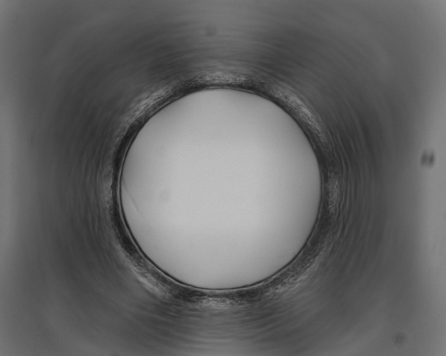 X0000096990490200803071056