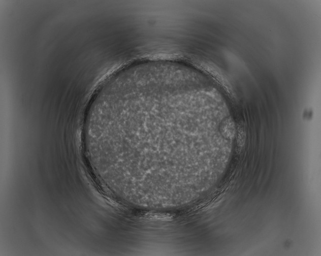 X0000096990491200803071056