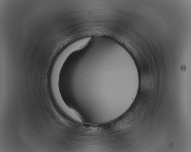 X0000096990493200803071056