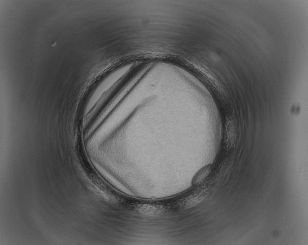 X0000096990494200803071056