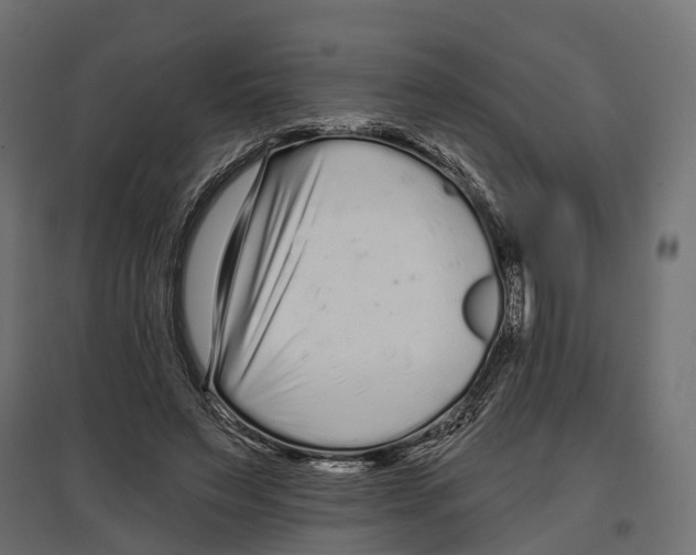 X0000096990495200803071056