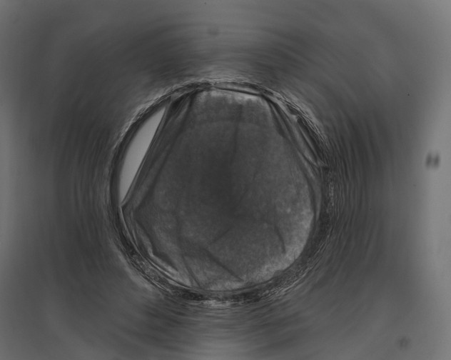 X0000096990496200803071056