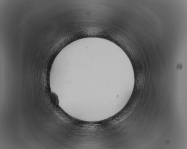 X0000096990497200803071056