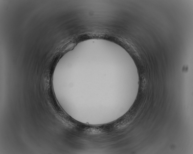 X0000096990498200803071056