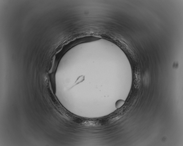 X0000096990499200803071056