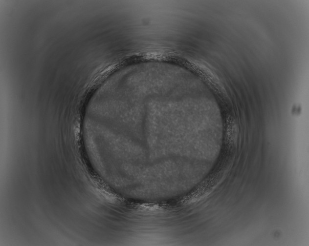 X0000096990502200803071056