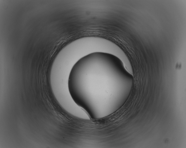 X0000096990504200803071056