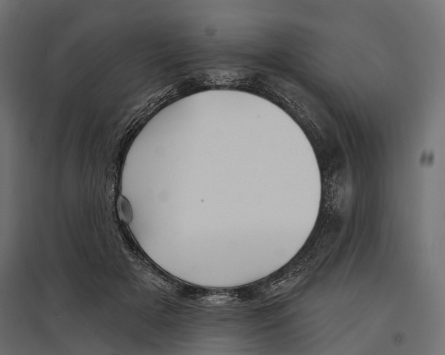 X0000096990505200803071056