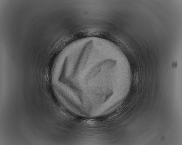 X0000096990506200803071056