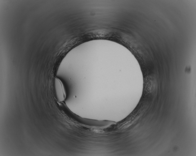 X0000096990509200803071056