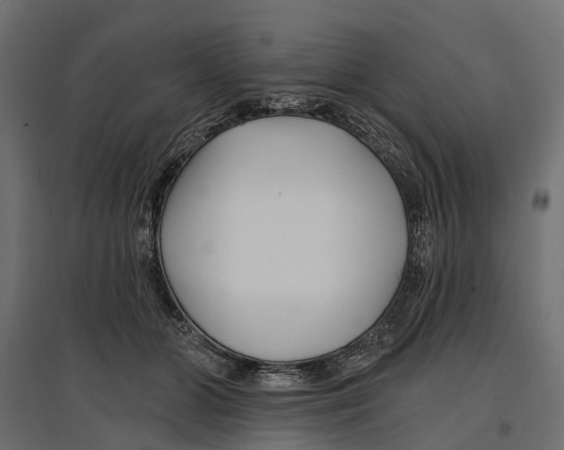 X0000096990510200803071056