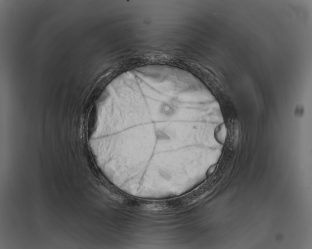 X0000096990511200803071056