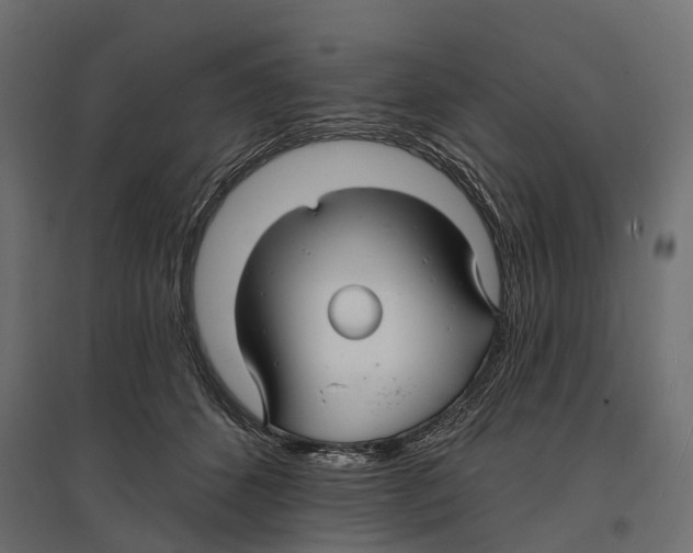 X0000096990512200803071056