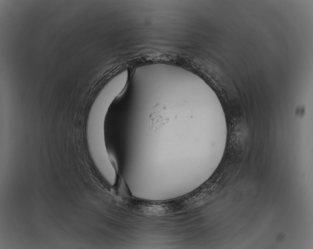 X0000096990513200803071056