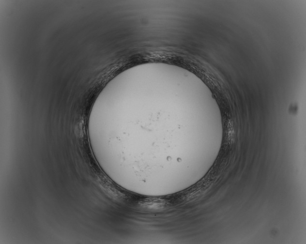 X0000096990514200803071056