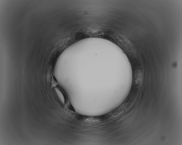 X0000096990515200803071056