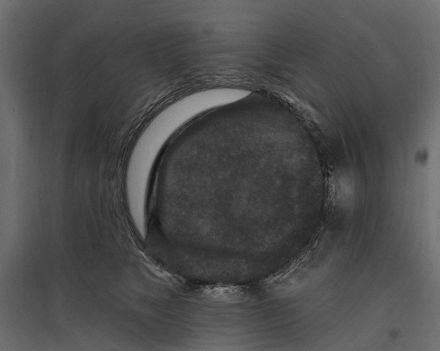 X0000096990517200803071056