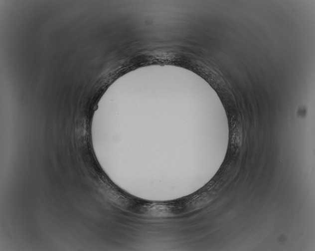 X0000096990518200803071056