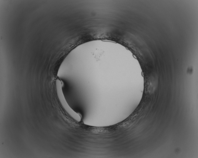 X0000096990521200803071056