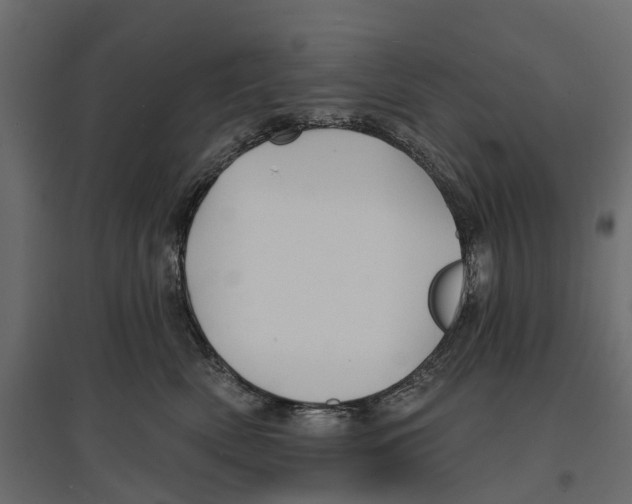 X0000096990522200803071056