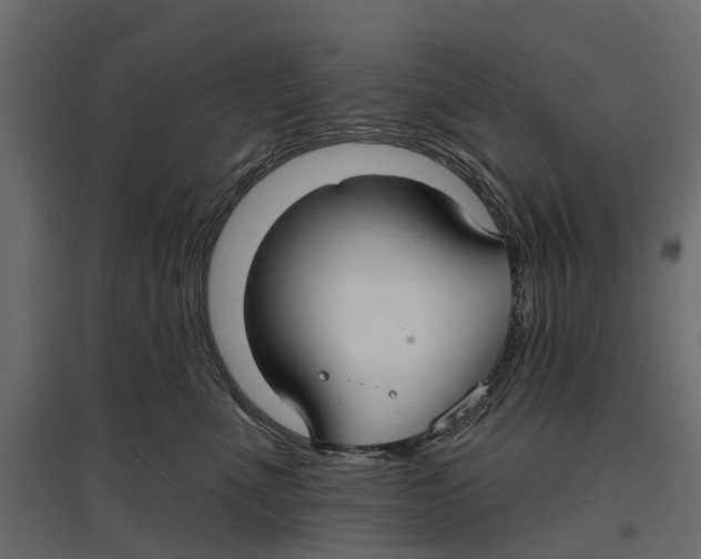 X0000096990523200803071056