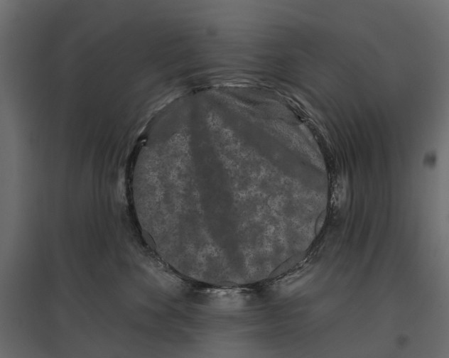 X0000096990524200803071056