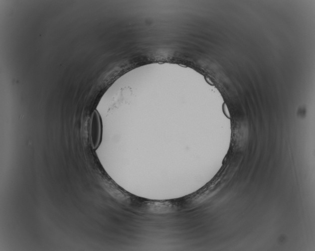 X0000096990525200803071056