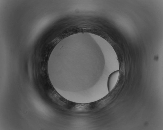 X0000096990526200803071056