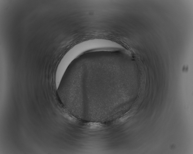 X0000096990528200803071056