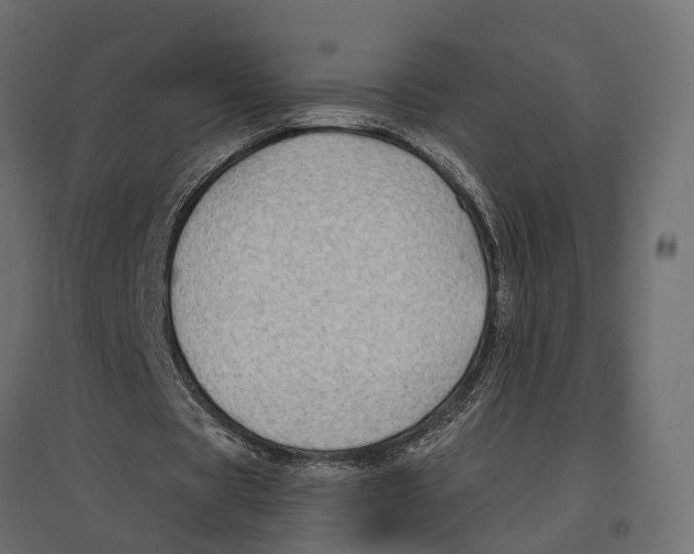 X0000096990529200803071055