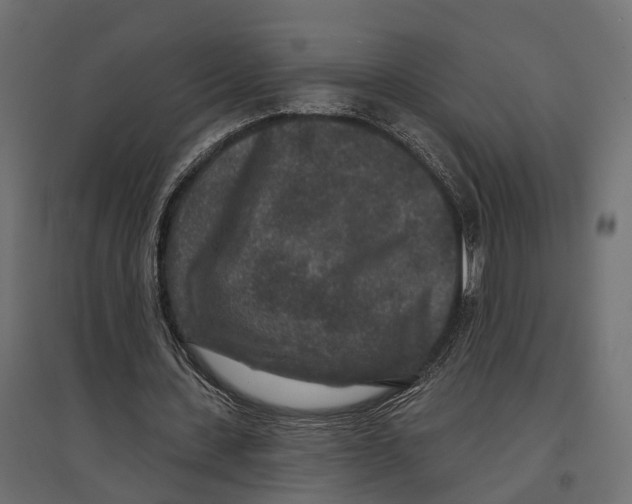 X0000096990531200803071055