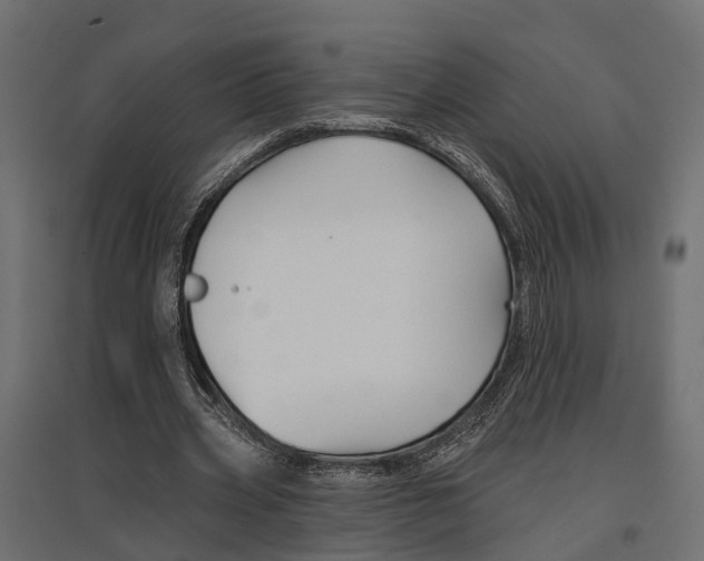 X0000096990533200803071055