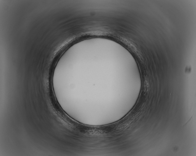 X0000096990535200803071055