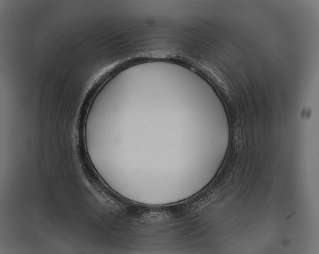 X0000096990536200803071055