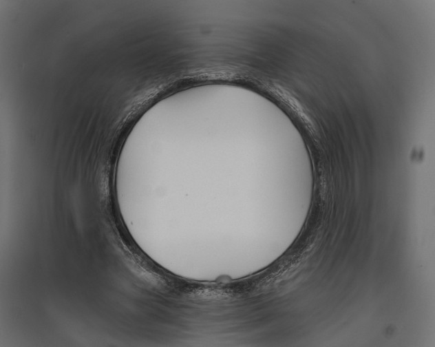 X0000096990537200803071055