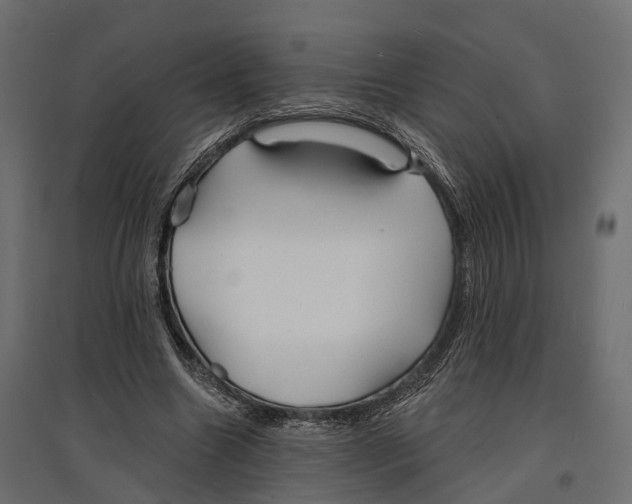 X0000096990538200803071055