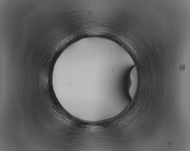 X0000096990539200803071055